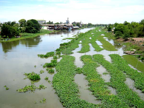 รูปภาพ