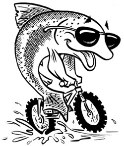 Fish_on_a_bike.jpg