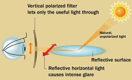 polarised3.gif