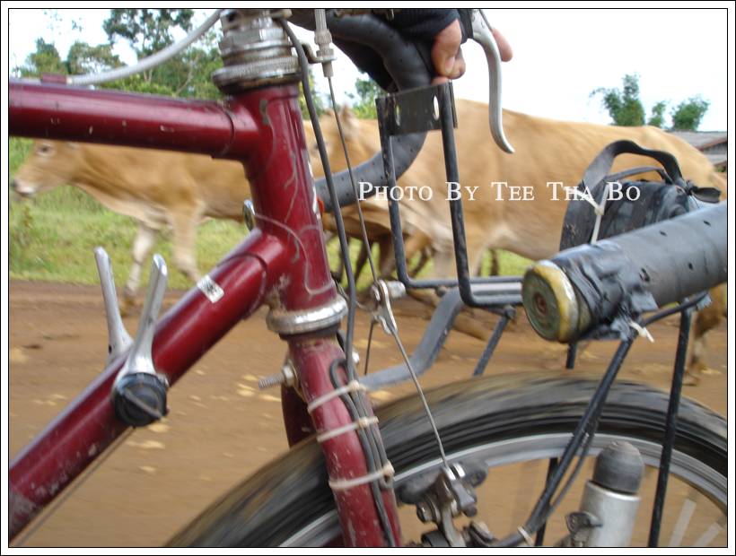 รูปภาพ