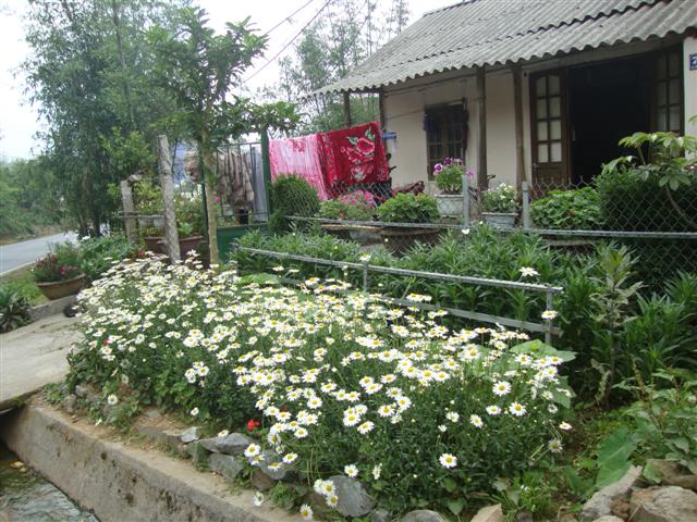 บ้านนอกตามรายทางเมืองส่วนใหญ่ปลูกไม้ดอกและพืชสวนครัวไว้ในบ้าน