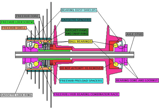 bicycle-rear-hub.jpg