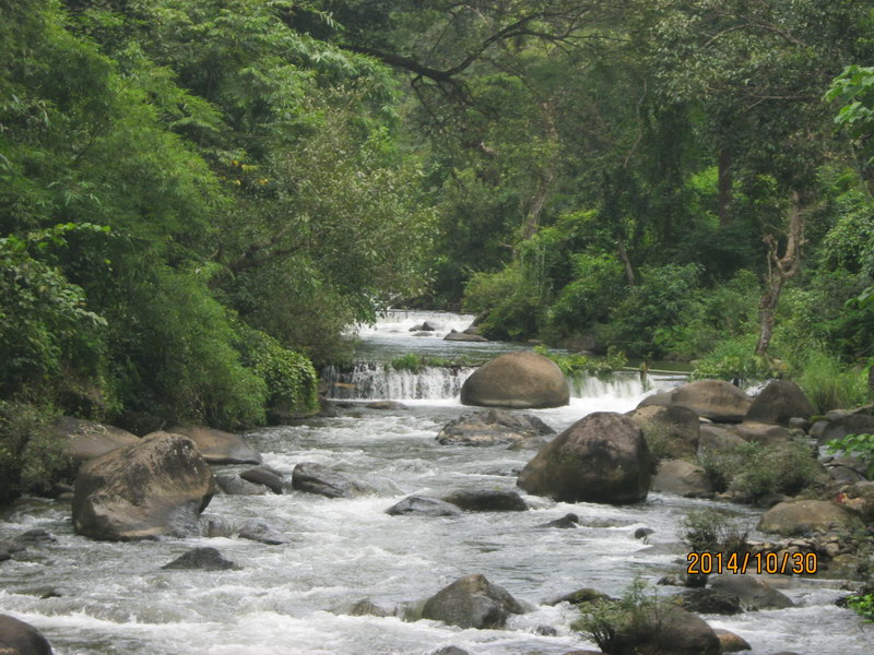 รูปภาพ