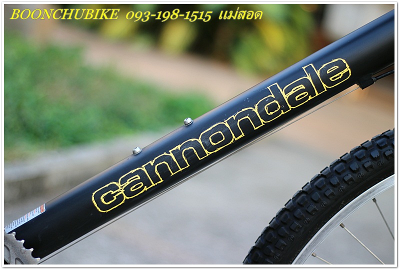 CANNONDALE_18.JPG