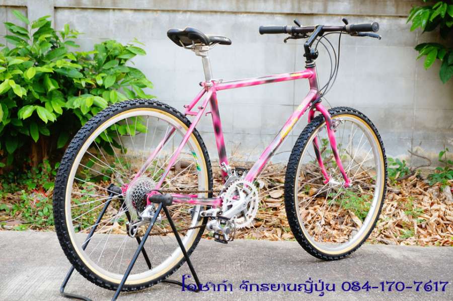pink-araya-muddy-fox-13.jpg
