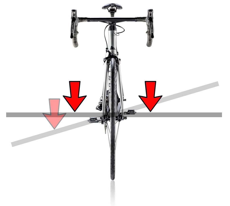 domane graphic 1.jpg