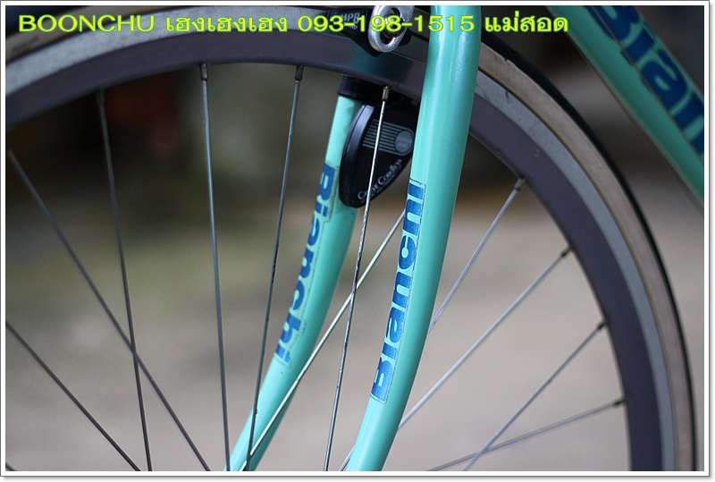 BIANCHI_09.JPG