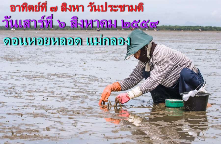 ดอนหอยหลอด.jpg