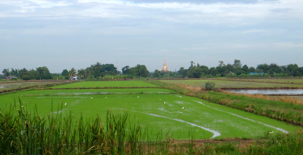 รูปภาพ