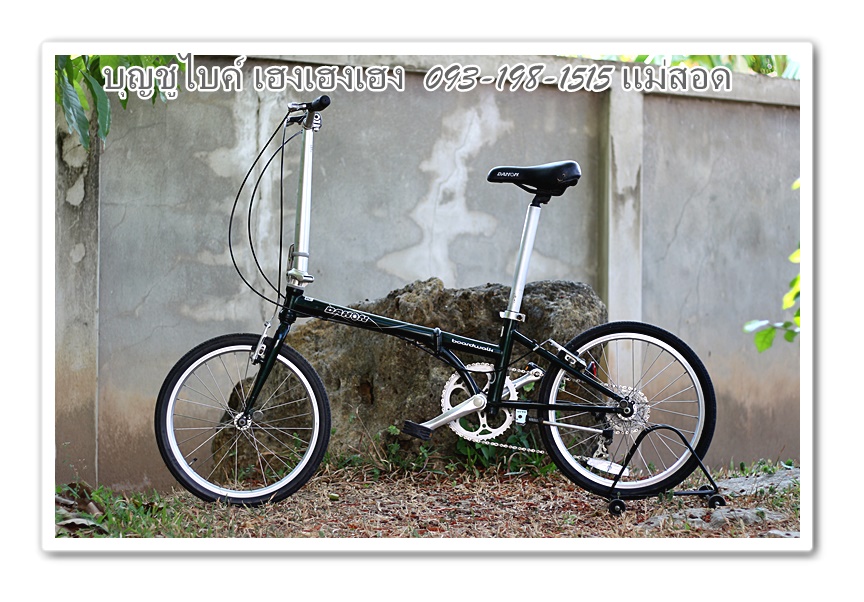 dahon1.jpg