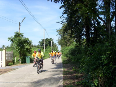 SI850228_resize.JPG