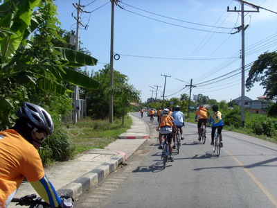 SI850260_resize.JPG