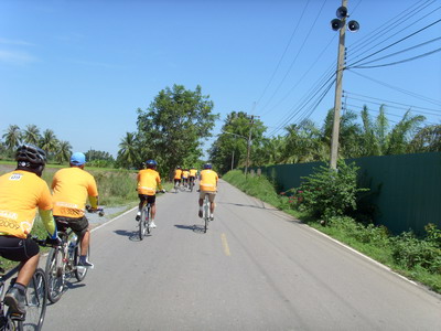 SI850267_resize.JPG