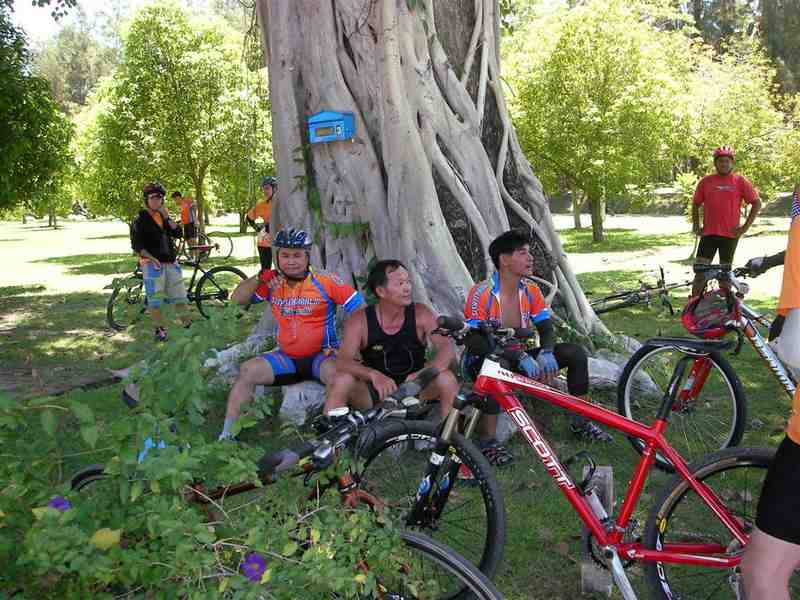 SANY0046 (Large).JPG