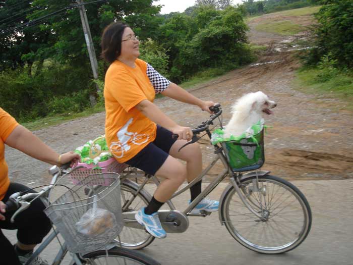 c25.jpg