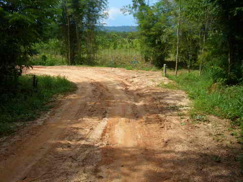 CIMG6577_resize.JPG
