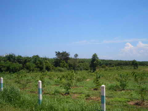 CIMG6536_resize.JPG