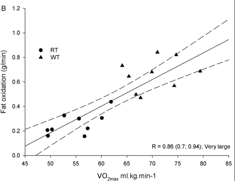 fat vs vo2max.png