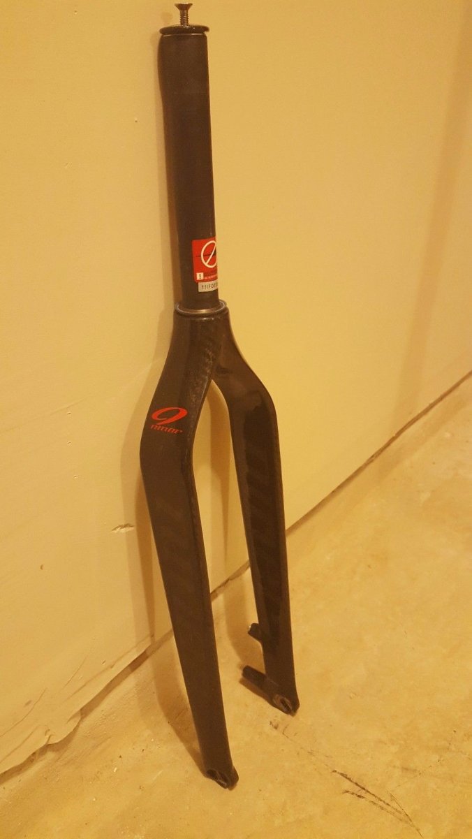 fork carbon niner.jpg