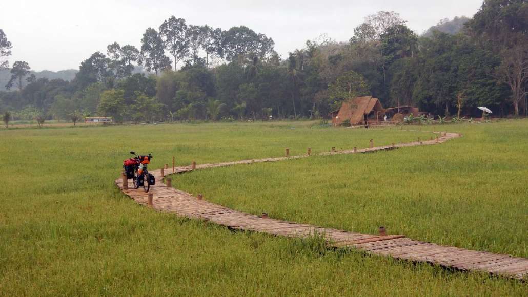 สะพานทุ่งนามุ้ย-3.jpg