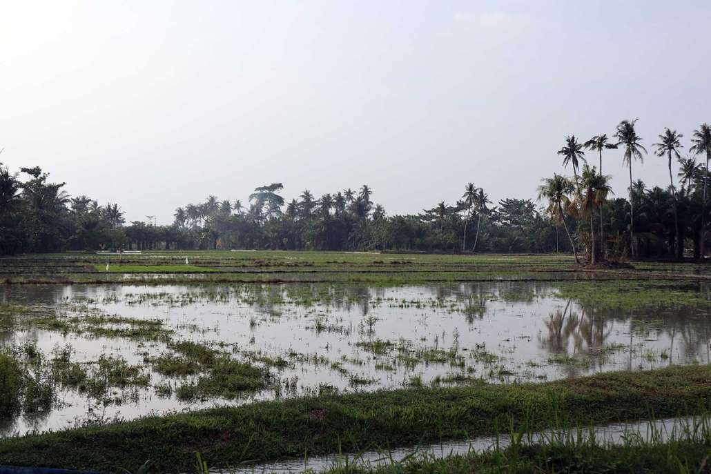 180508162104PantaiSialangBuah140r.jpg