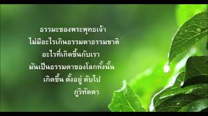 ดาวน์โหลด.jpg